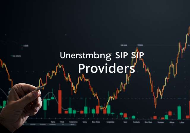 Decoding SIP Returns: A Simple Guide for Indian Investors 2 Understanding SIP providers is crucial f img1 4