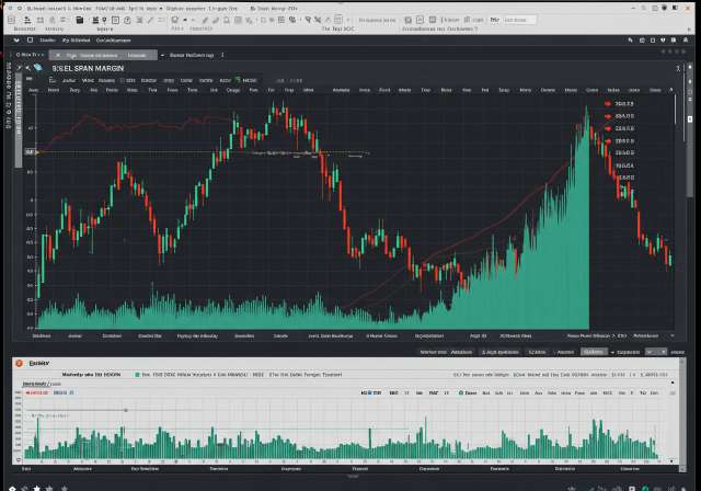 निवेश के सबसे अच्छे नियम: सफलता की राह 2 Unlock the secrets of Excel span margin img1 3